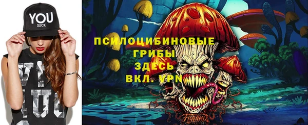 винт Абаза