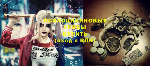 молекула духа Алексеевка