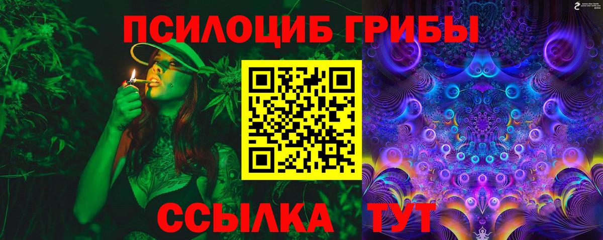 Галлюциногенные грибы Cubensis  Вход с VPN  что такое наркотик  Волжский 